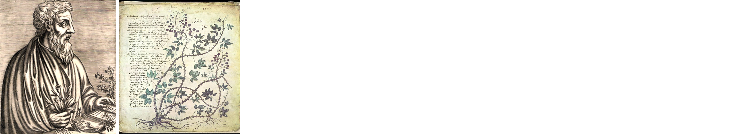 Medicina tradicional, superstições ou sabedoria autêntica?